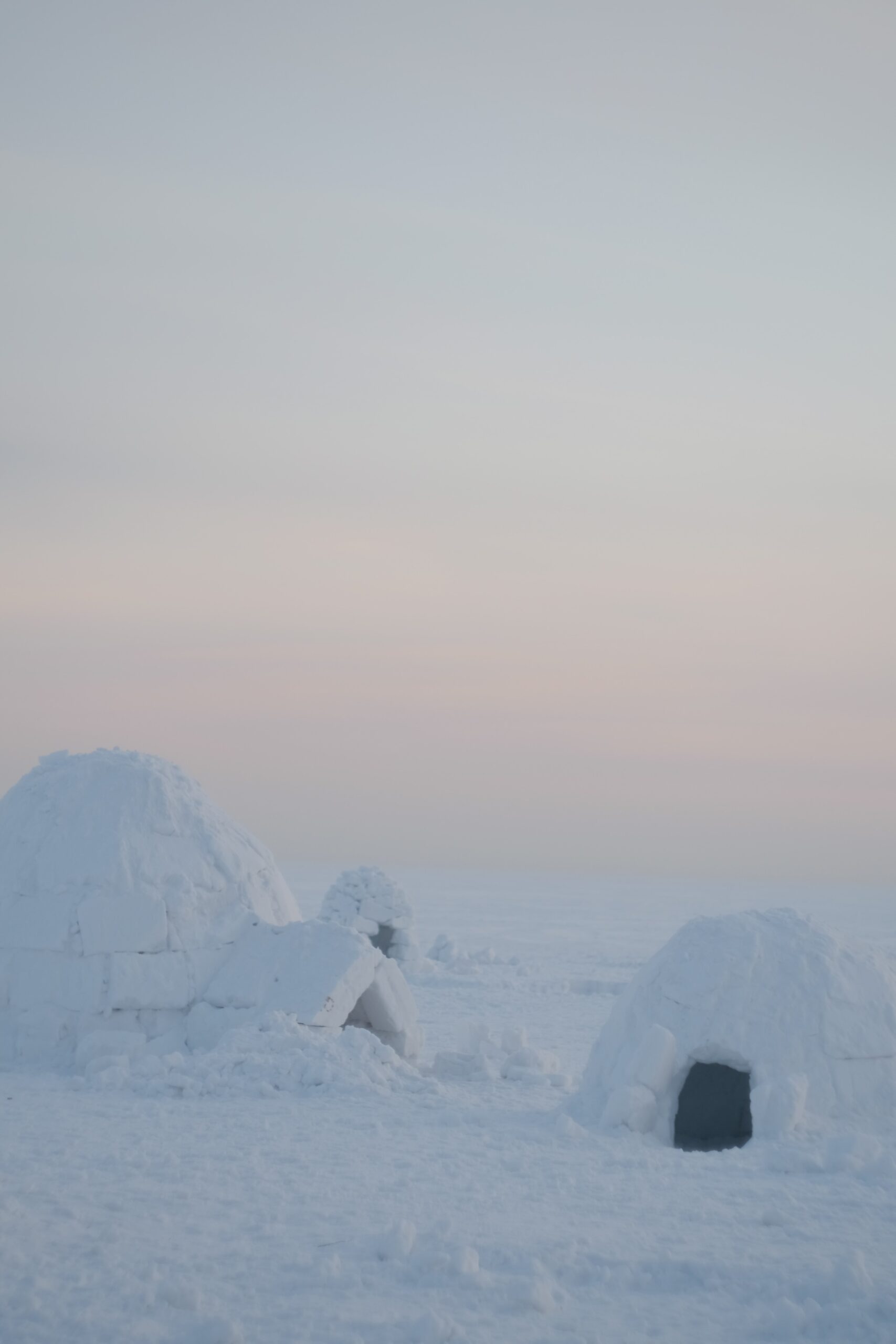 How Do You Build An Igloo For Cold Weather Survival?