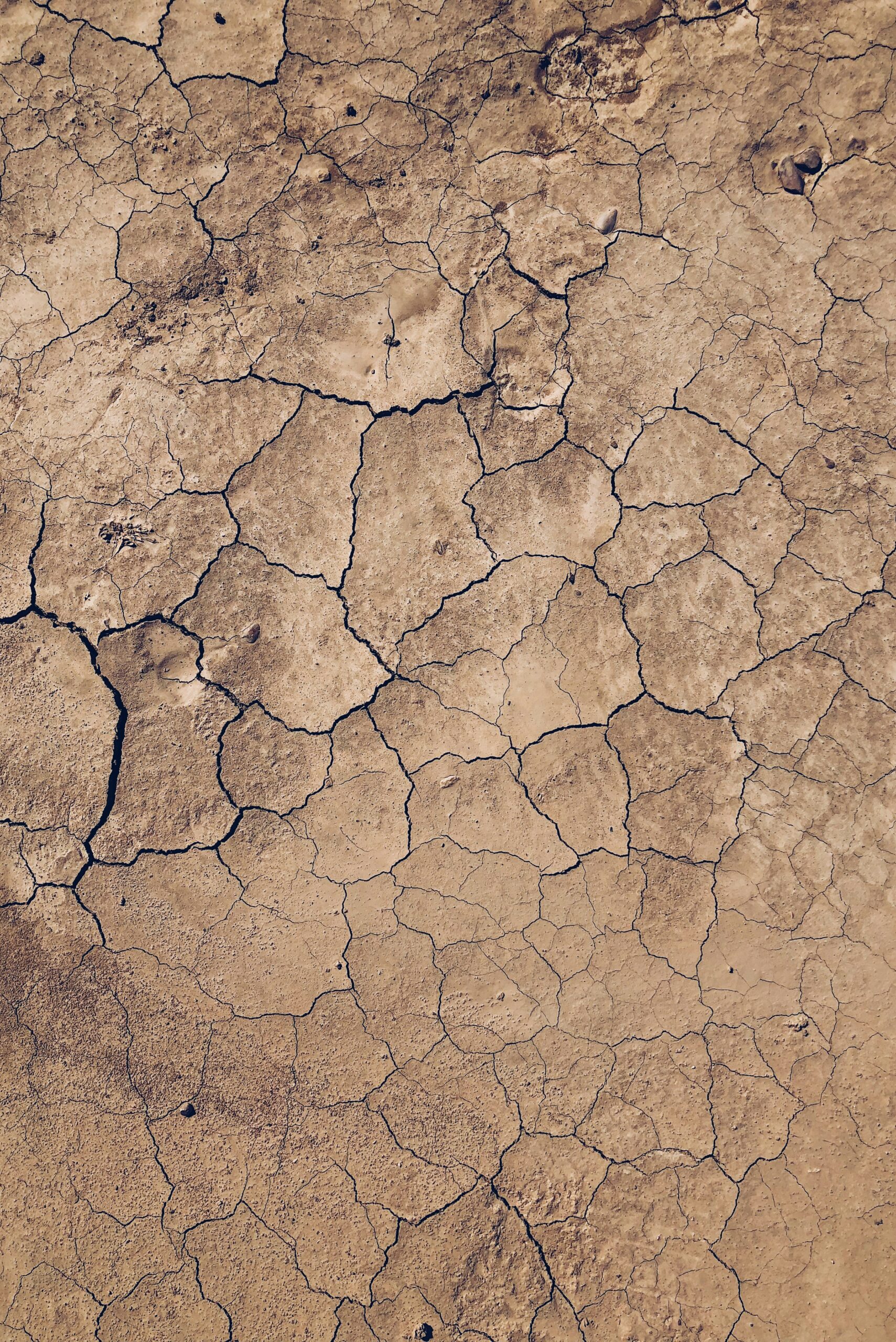How Should I Prepare For A Severe Drought Emergency?