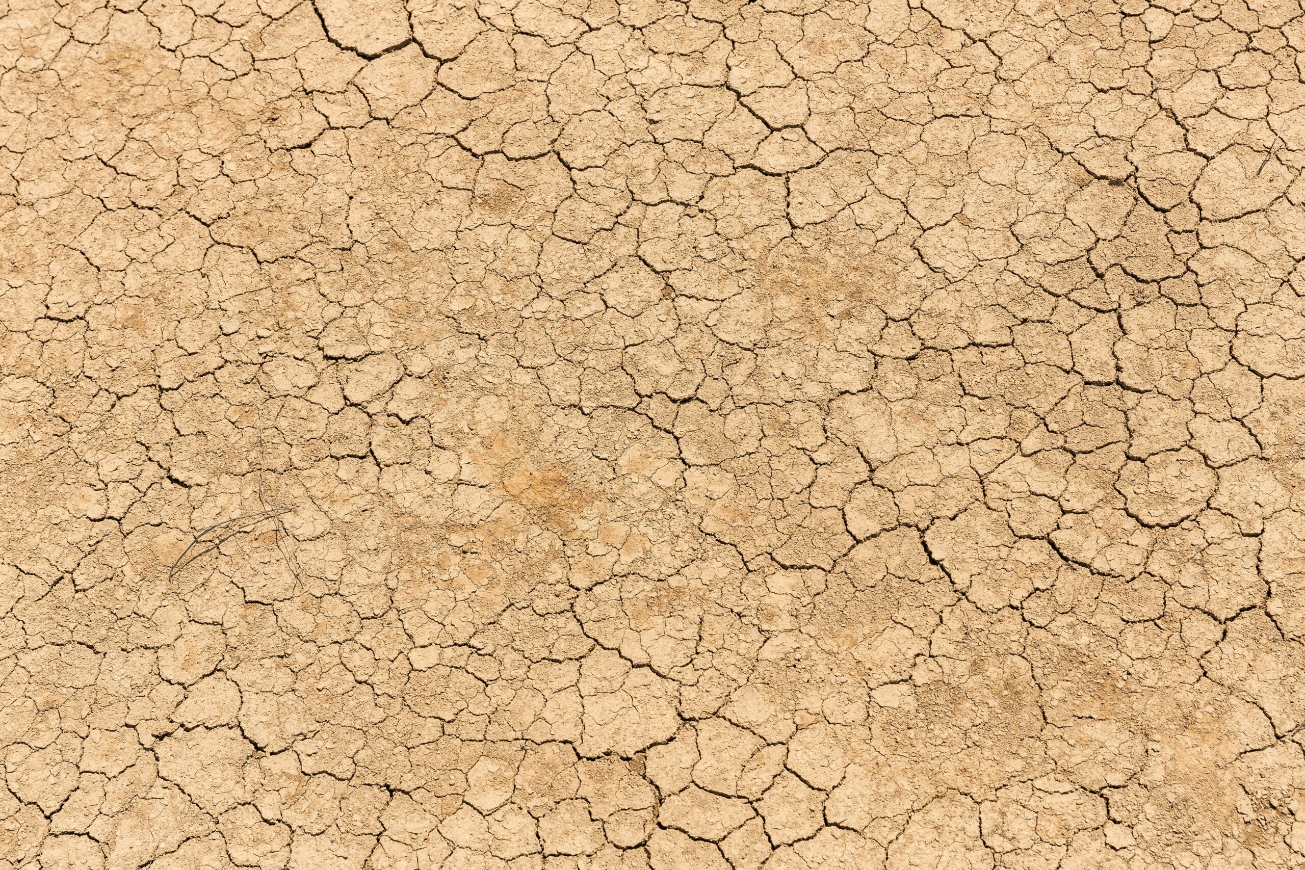 How Should I Prepare For A Severe Drought Emergency?