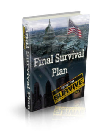 The Final Survival Plan Review