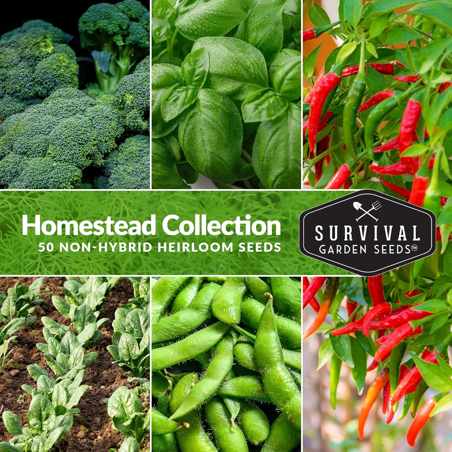 Survival Garden Seeds Home Garden Collection - 30 Pack with 18,500+ Non-GMO Heirloom Vegetable, Fruits, Herb Seed Varieties for Planting - Plant  Grow Survival Food  Emergency Preparedness Gear