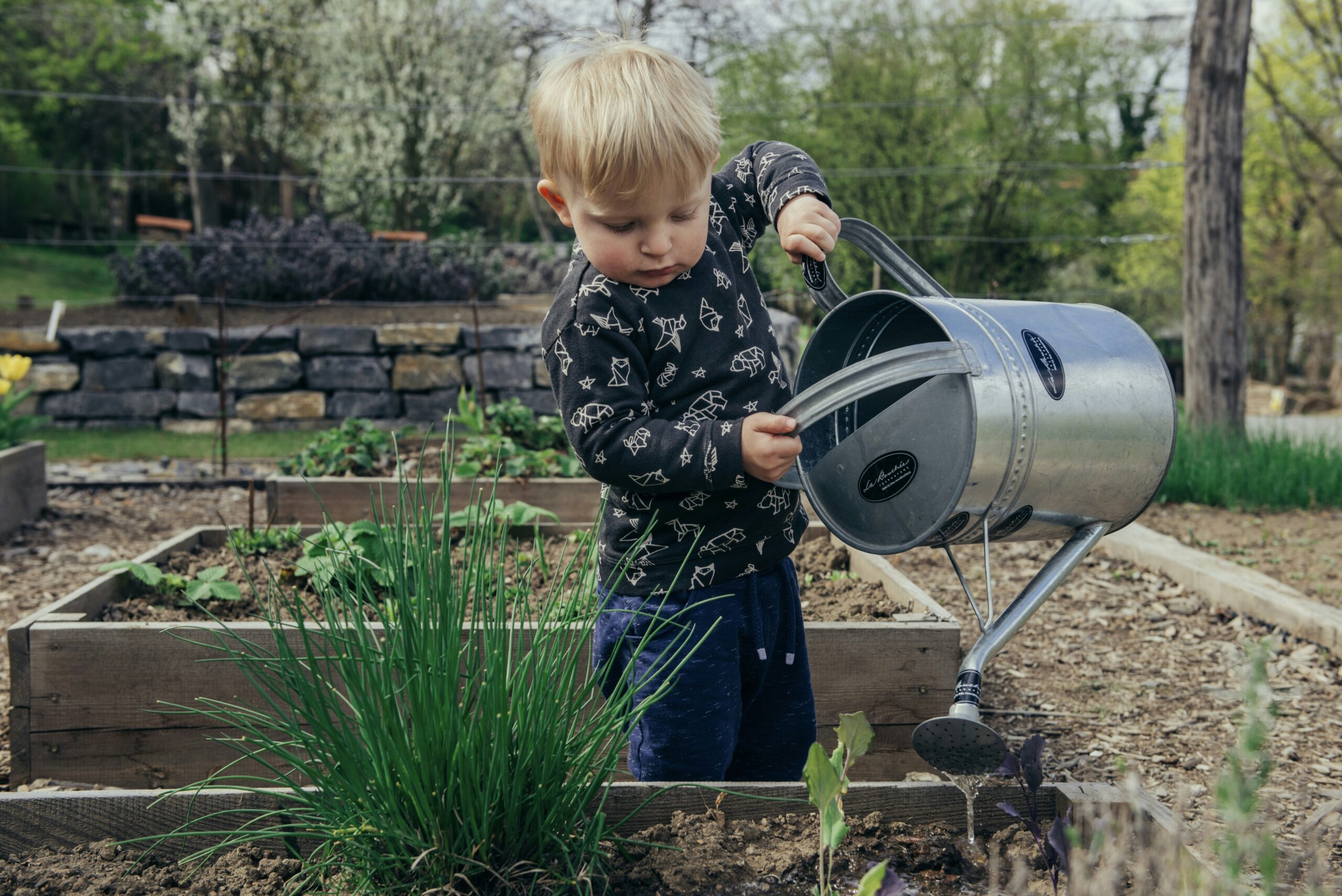 How Long Does It Take To Grow Food For Emergencies?