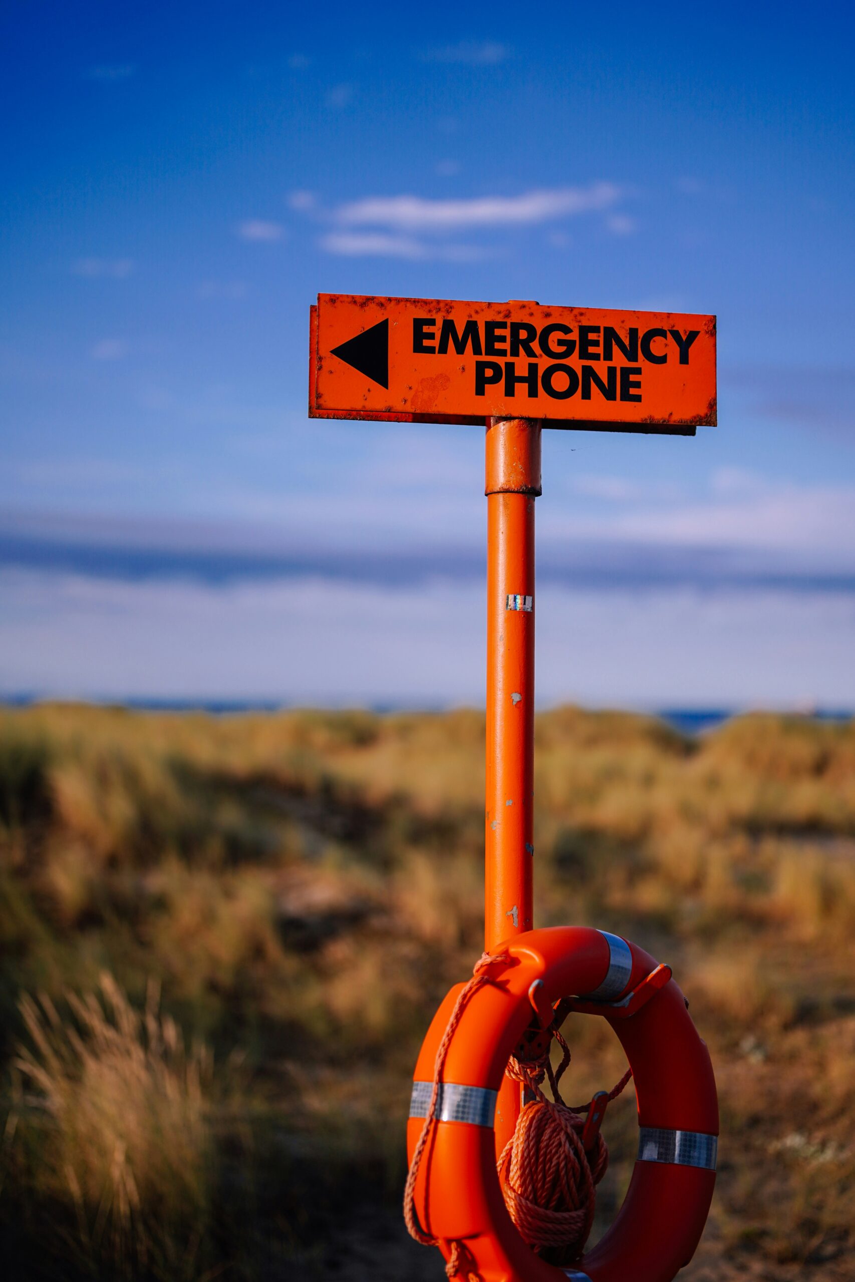Can I Include Homemade Canned Goods In My Emergency Supply?