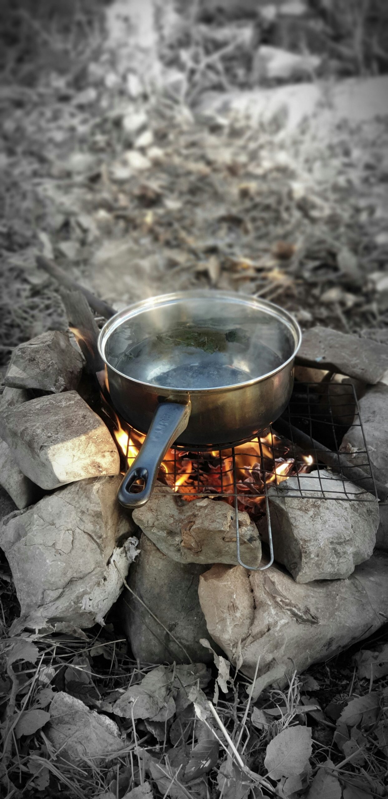 Do Emergency Food Supplies Require Special Cooking Equipment?